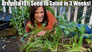 Arugula 101: From Seed to Salad in 3 Weeks!