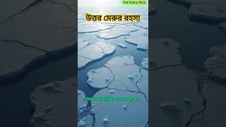 উত্তর মেরু রহস্যময় প্রান্তরের অজানা তথ্য | Arctic Facts in Bangla #shortsvideo