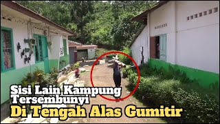 Kehidupan di desa terpencil tengah hutan alas gumitir