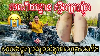 ស្ទឹងក្រញ៉ូងទេសភាពស្អាតណាស់តែទៅលេងសូមប្រុងប្រយ័ត្នរអិលថ្មដូចខ្ញុំ |SokSan TV