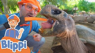 Blippi Visits a Zoo! | Learn About Animals For Kids | Educational Videos for Toddlers