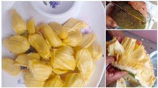 #పనస కాయ కటింగ్ ఎలా చేస్తున్నారు చూడండి #jackfruit cutting in telugu#