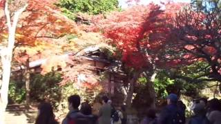 Kamakura, Japan - Engaku-ji Temple - On the Grounds