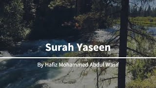 Surah Yaseen FULL HD | Yasin Quran beautiful Recitations soft | Video | by Hafiz Mohammed Official