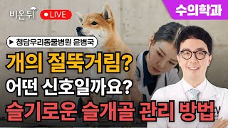 개의 절뚝거림? 어떤 신호일까요? 슬기로운 슬개골 관리 방법 / 청담우리동물병원 윤병국