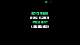 길가다 개한테 물려도 지자체가 보험금 준다(ft.시민안전보험)