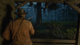 Arthur is looking for refuge in the swamp during a heavy rain with thunder to sleep and study/RDR2