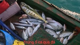 Tiếp Tục Ngày Thứ 2 Dẫn Ông Anh Ở Quảng Ngãi Đi Câu Jigging ! Dính Rất Nhiều Cá To !