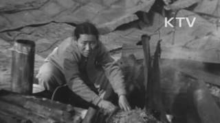 대한뉴스 제 43호 - 남대문시장에 큰 불 (1954년)