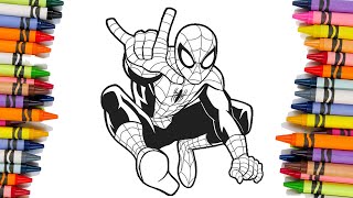 COLORING PAGE SPIDEY & AMAZING FRIENDS,coloring for fun,coloring spiderman
