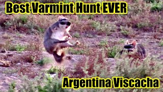 BEST VARMINT HUNT EVER/ Argentina Viscacha