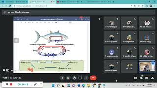 การสอนวิชาชีววิทยา 4 คลิปที่ 2