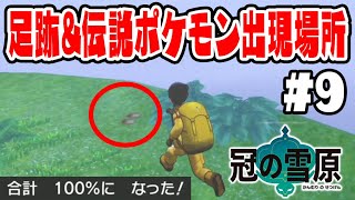 【あしあと100%達成】冠の雪原のあしあとの場所\u0026伝説ポケモン出現場所【ポケットモンスターソード・シールド　冠の雪原実況　#9】