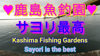 鹿島 魚釣園 サヨリ 爆釣。ゴールデンウイークの参考になれば最高ですね。よかったら観てね。