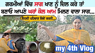 ਅੱਜ ਆਪਣੇ ਖੇਤ ਵਿੱਚੋਂ ਤੋੜ ਕੇ ਬਣਿਆ ਸਾਗ - My 4th Vlog | Summer Saag | Garmi wala Saag |  #saag