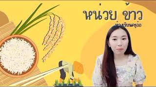 กิจกรรมเสริมประสบการณ์ หน่วย ข้าว 🌾 | ชั้นอนุบาลปีที่ 2