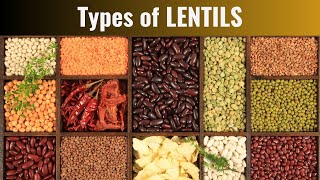 Common Types of Lentils
