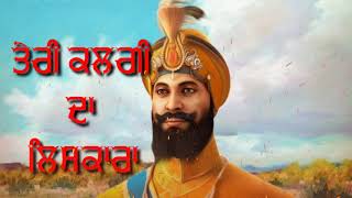 ਤੇਰੀ ਕਲਗੀ ਦਾ ਲਿਸ਼ਕਾਰਾ Guru Govind Singh ji WhatsApp Status Nov 2020