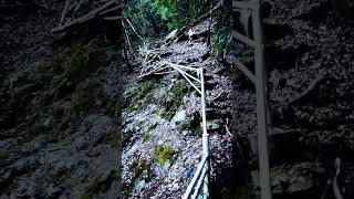 天龍天大神神社⛩️🐉龍神🐲パワースポット巡り Nara Japan Travel Movie 奈良県 川上村 蜻蛉の滝 聖天岩屋 白蛇窟