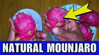 NATURAL MOUNJARO RECIPE WITH 4 INGREDIENTS (DISCOVER NOW) NATURAL MOUNJARO RECIPE FOR WEIGHT LOSS