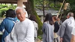 東京　東向島　白鬚神社　祭礼　堤図子の神輿　２０１６．６．４