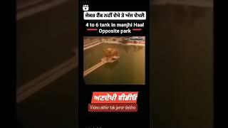 Real video 1984 sri darbar sahib amritsar in tank. never forget 1984.#amritsar . #1984.#video