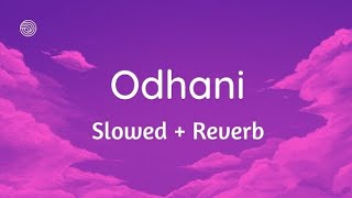 Odhani slowed+Reverb vibessong|headphones 🎧 in head and feel that song 😍#odhani #lofi #slowedreverb