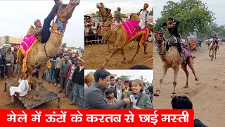 ऊंट के डांस व दौड़ ने सबका मन मोहा दिखाई रैंप चाल Nagaur Fair नागौर पशु मेला 2023 Camel Compilation