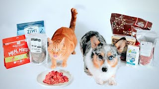 7 Premade RAW Pet Food Reviews (Nutritional Details)