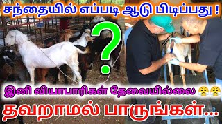 புதிதாக சந்தையில் ஆடு வாங்கும் போது எதைபார்த்து வாங்க வேண்டும்#psfarmers#aduvalarpu#aduvalarpputamil