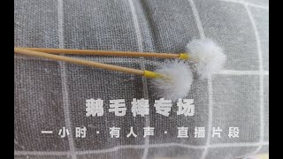 【MINO ASMR】Goose feather stick special session·One-hour live video with human voice 