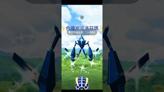 【Pokémon GO Fest 2024】✨色違奈克洛茲瑪✨總共抓到三隻😂等之後亮晶晶交換洗IV #pokemongo #shinypokemon #pokemongofest2024