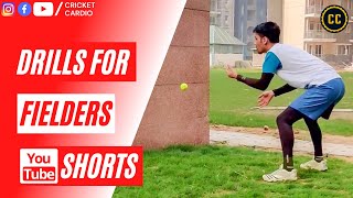 DRILLS FOR FIELDING AND CATCHING! #shorts #youtubeshorts