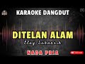 DITELAN ALAM - Elvy Sukaesih || KARAOKE NADA PRIA