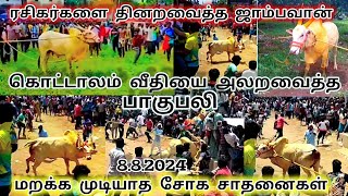 பாகுபலி கொட்டாலம் வீதியில் ரசிகர்களை அலறவைத்த எருதுக்கட்டின் ஜாம்பவான் பாகுபலி உன் உயிர் உன் கையில்😲