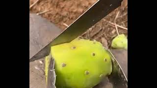 Amazing Fruits Cutting Skills😍farm Fresh Ninja Fruit | #trending #tiktok #shorts