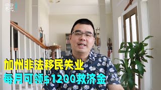 加州新法：非法移民失业每月可领$1200救济金；纽约亚裔熟食店店员遭劫杀嫌犯在逃；亚裔长得都很像？佛州男被误抓起诉求偿$1000万；20230309