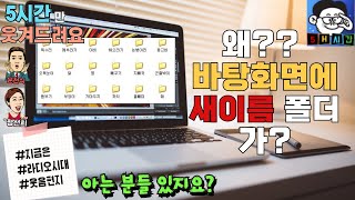 왜 바탕화면에 새이름폴더가 잔뜩 있을까요? 참고로 전 신체 건강한 대한민국 젊은이에요 웃다보면 추억이 새록 새록 오늘도 달려봅시다 #지라시 #웃음편지 #잠못자도책임안짐