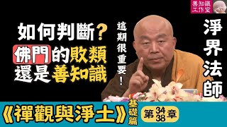 淨界法師：佛門的敗類還是善知識：如何判斷？ | 禪觀與淨土 34~38