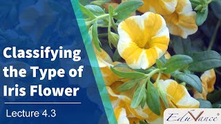 AI Course Session 4 : Lecture 3 - Classifying the Type of Iris flower