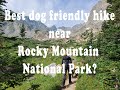 Best dog friendly hike near Rocky Mountain National Park? Lake Isabelle hike from Brainard Lake