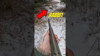 Worst RABBIT HUNTER Ever?