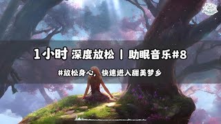 1小时助眠音乐#8 | 深度睡眠 | 治愈放松 | 舒缓压力 | 改善焦虑和抑郁 | 增强专注力和注意力  | 改善睡眠 | 快速进入梦乡