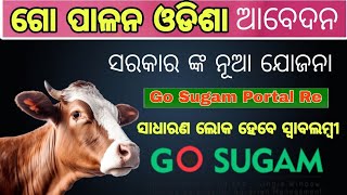 ଗୋ ପାଳନ ପାଇଁ ସରକାରଙ୍କ ଆସିଲା ନୂଆ ଯୋଜନା :Go Sugam Dairy Farm Scheme ✔️