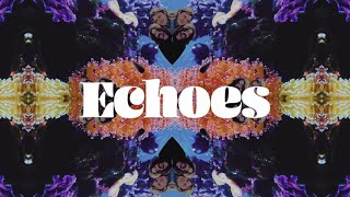 Pink Floyd - Echoes (80 minute mix)