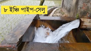 কারেন্ট-মটর দিয়ে ৮ ইঞ্চি পাইপ-সেলু || Krishi Zone || Shah Najmul