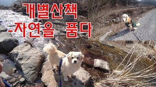 시골에서 유유자적 개별산책,자연을 품다