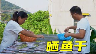 秋冬時節曬魚乾，鹹香帶點甜，每一口都是記憶中童年的媽媽的味道【漁小仙】