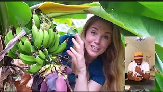 UNBELIEVABLE! | A TROPICAL BANANA GARDEN IN AN ARCTIC ICELAND.