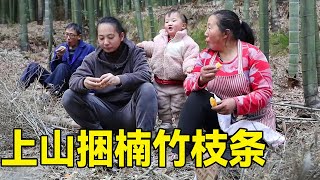 一家人出动捆楠竹枝条，小拾还争抢着要帮忙，一个人玩嗨了！【幺妈和幺叔】